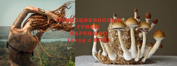 jwh Новодвинск