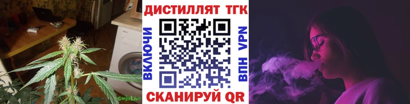 Купить закладки  Мегион  ТГК концентрат 